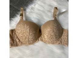 ÁO LOVELY CÀI 3 MỎNG ÉP REN 1210 -  DA ĐẬM